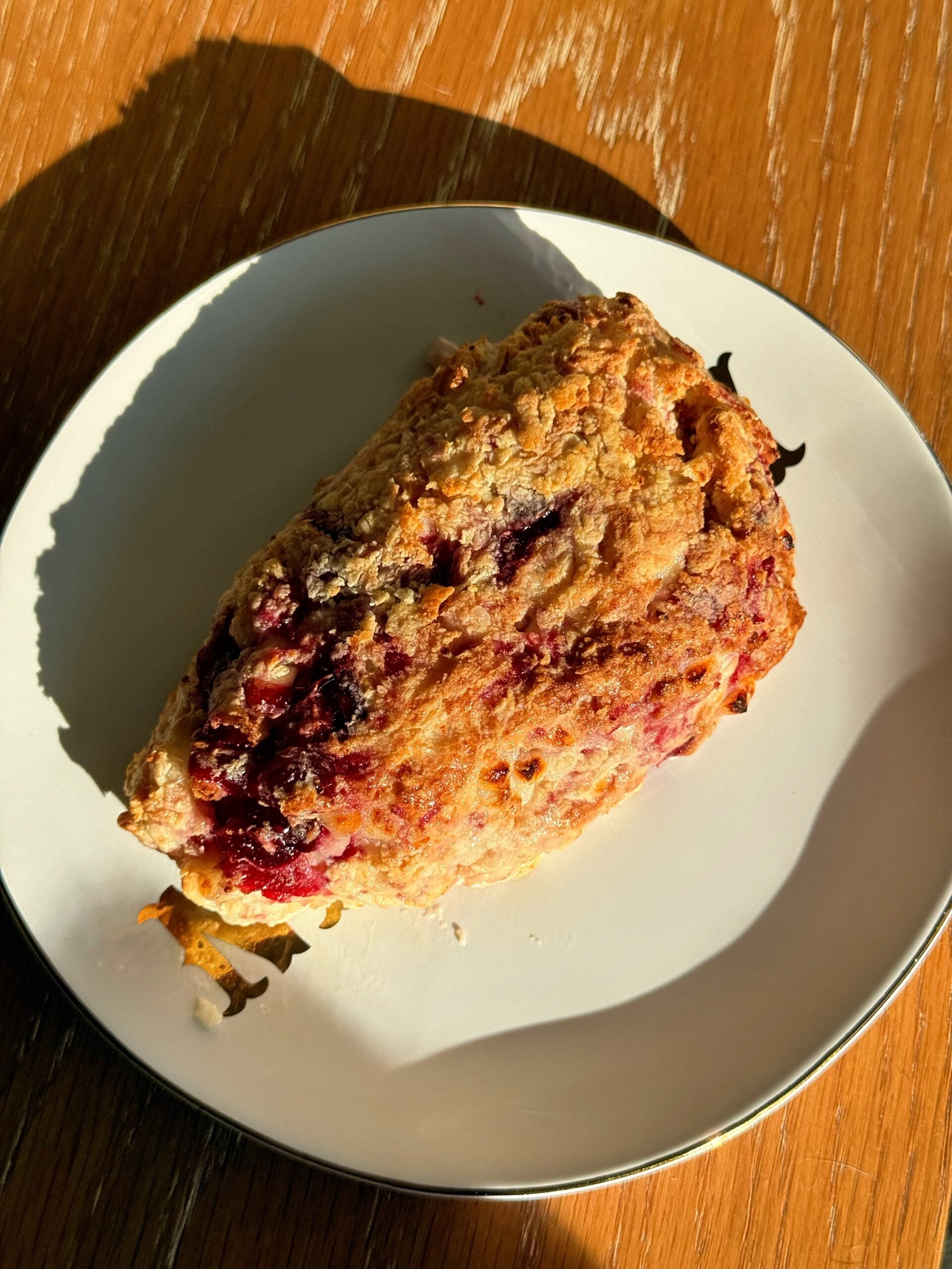 Cranberry cottage cheese scone on a plate in natural sunlight