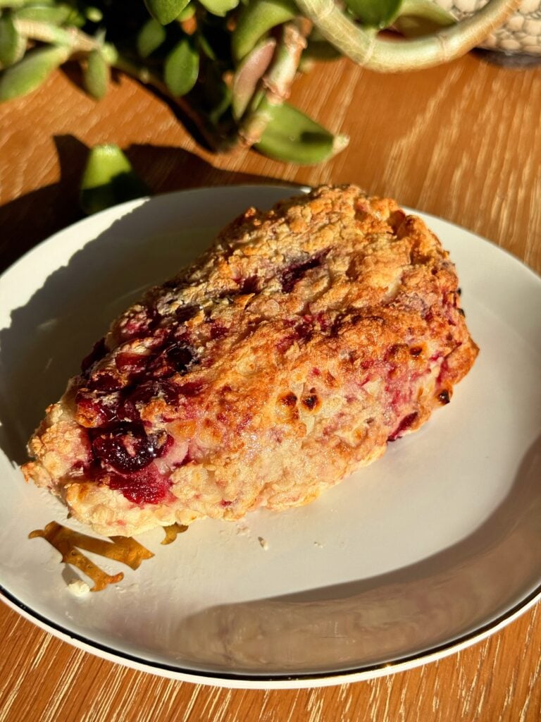 Cranberry Cottage Cheese Scone Close-Up