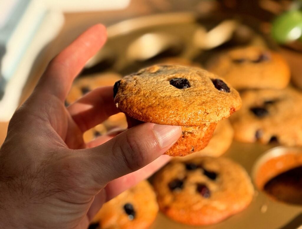 Close-up of a cranberry protein muffin held in hand