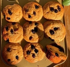 Overhead shot of cranberry protein muffins cooling in a muffin tin