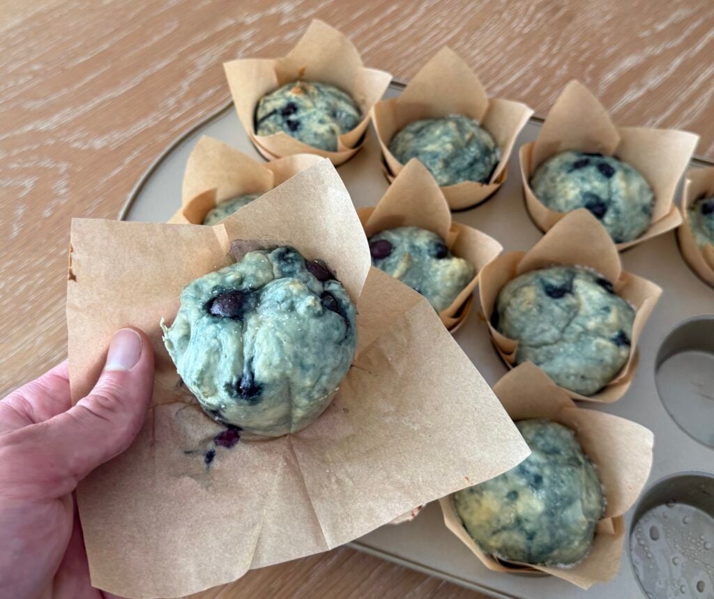 Finished Blueberry Cottage Cheese Muffins in Hand