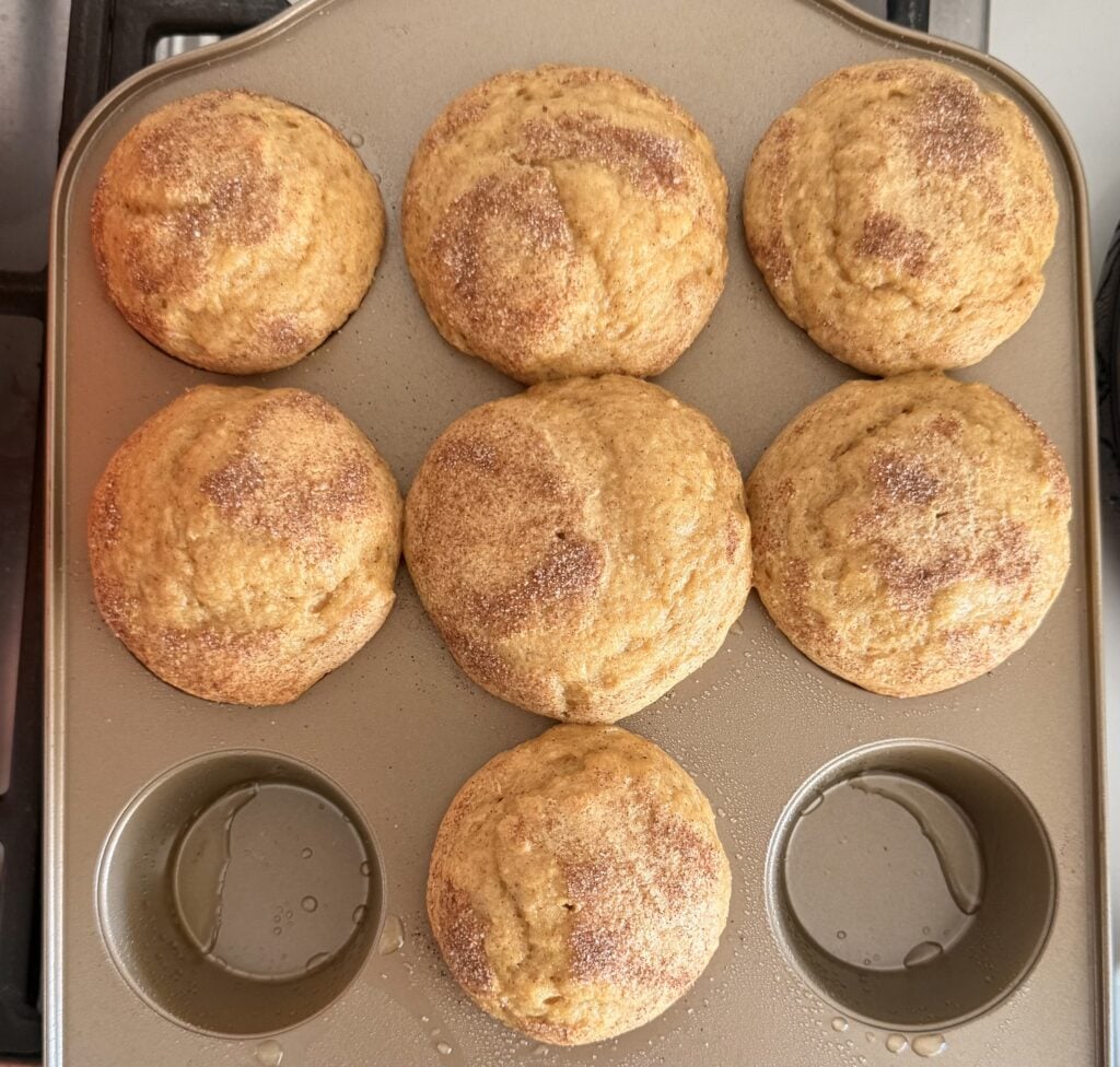 Overhead view of baked high protein snickerdoodle muffins