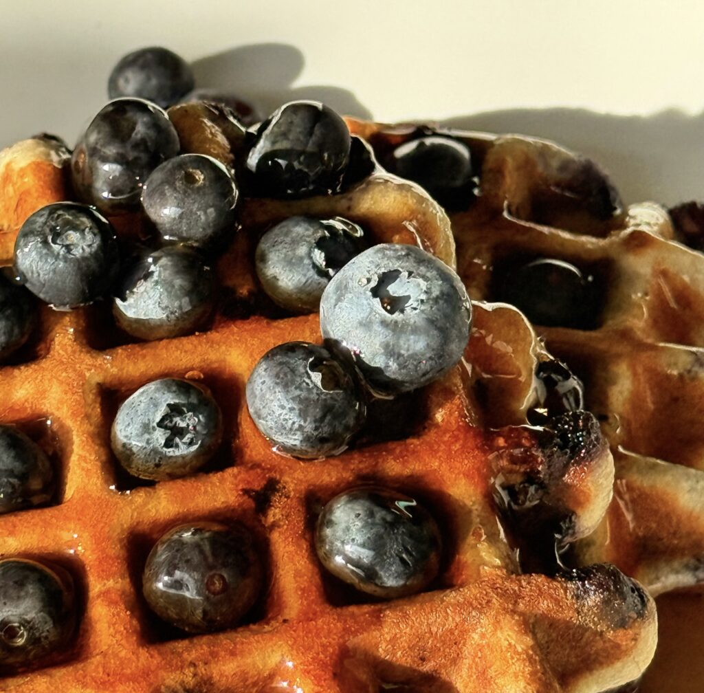 Blueberry Waffle Close Up