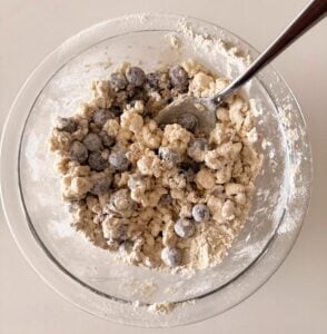 blueberry cottage cheese donut hole batter in mixing bowl
