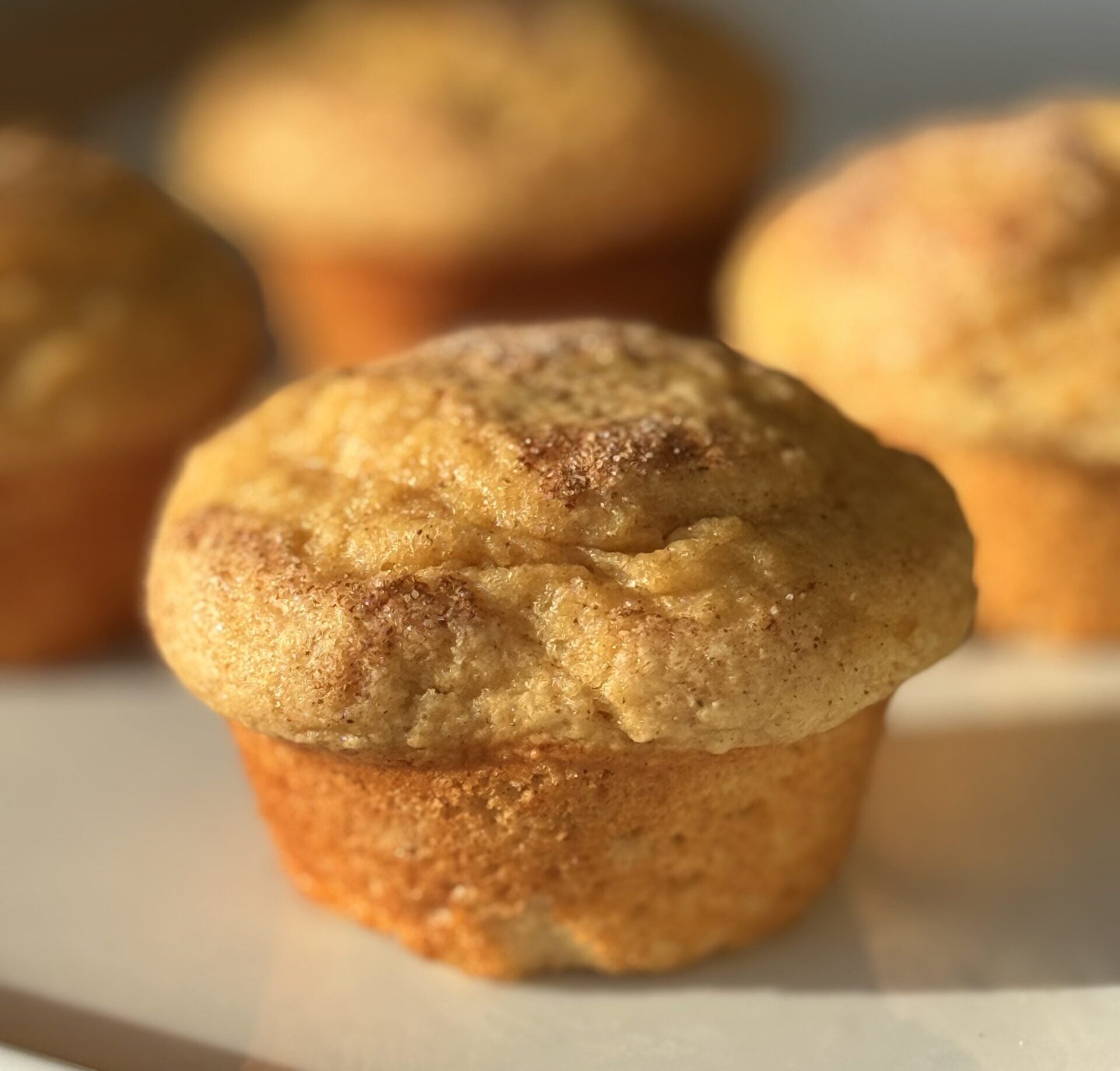 High protein snickerdoodle muffin with cinnamon sugar topping