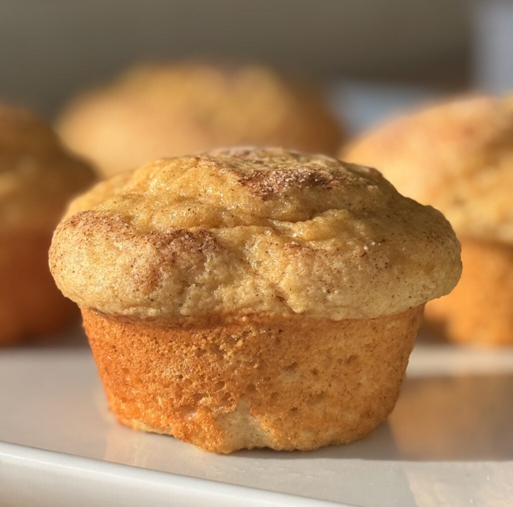 Close-up of soft crumb inside a high protein snickerdoodle muffin