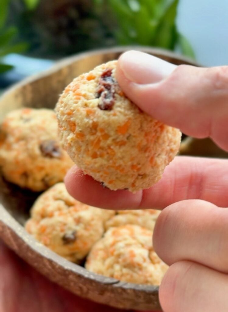 Carrot cake Protein Balls in Finger