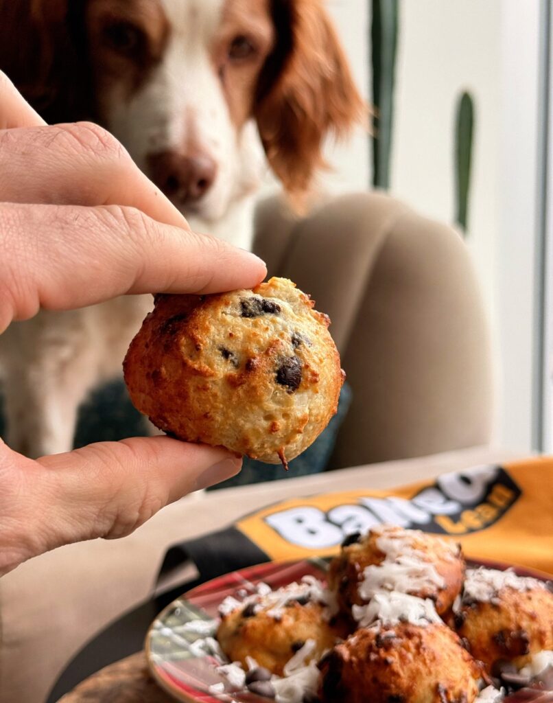 Chocolate Chip Coconut Donut Holes with a dog
