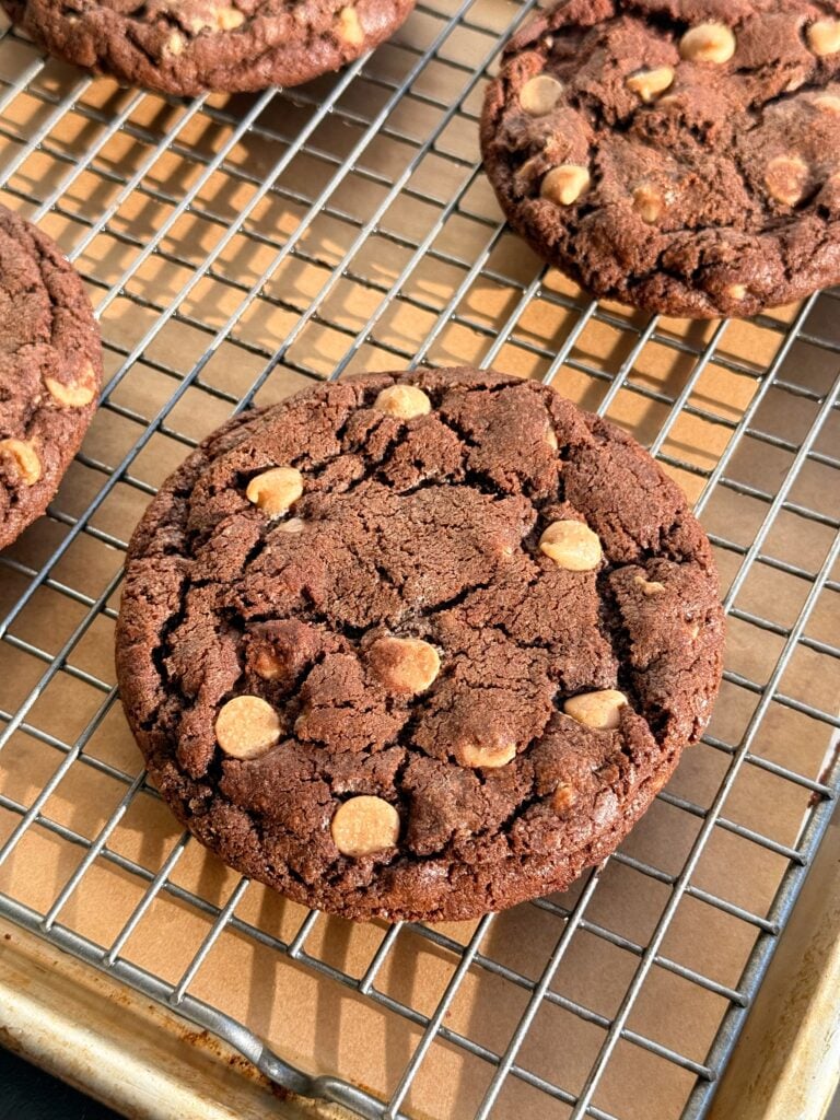 Chocolate Peanut Butter Chip Chewy Cookie Sunshine