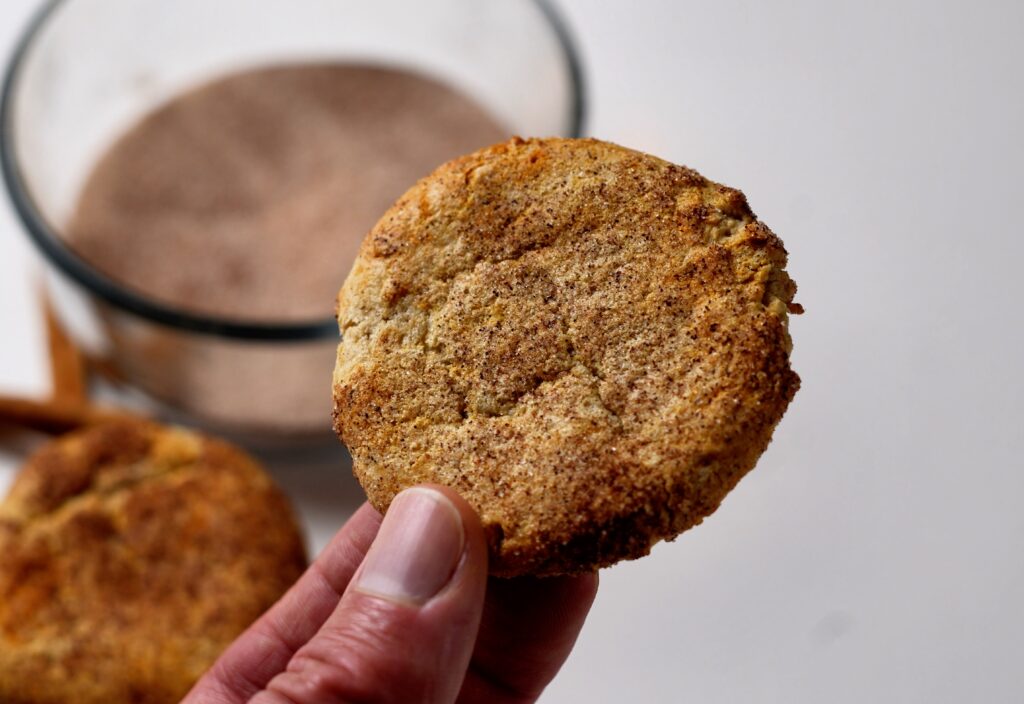 Close up of Snickerdoodle cookie texture