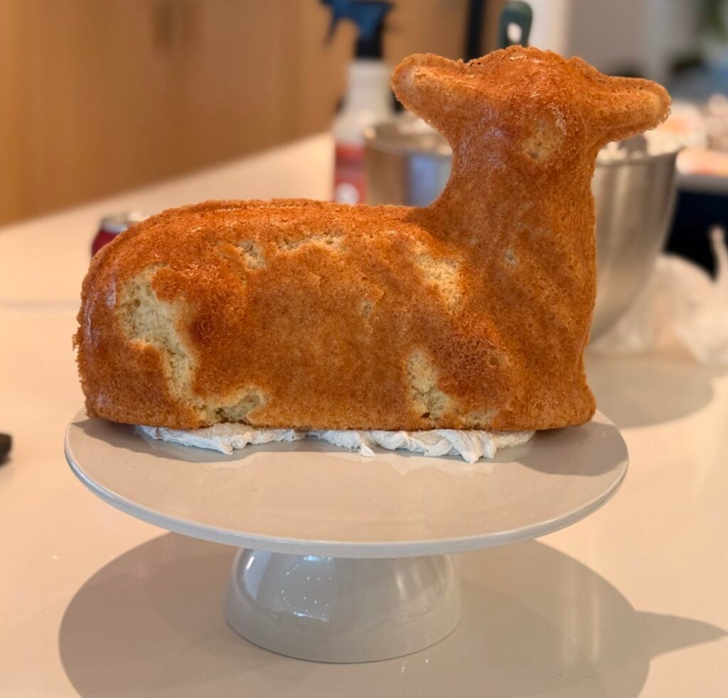 baked uniced cake