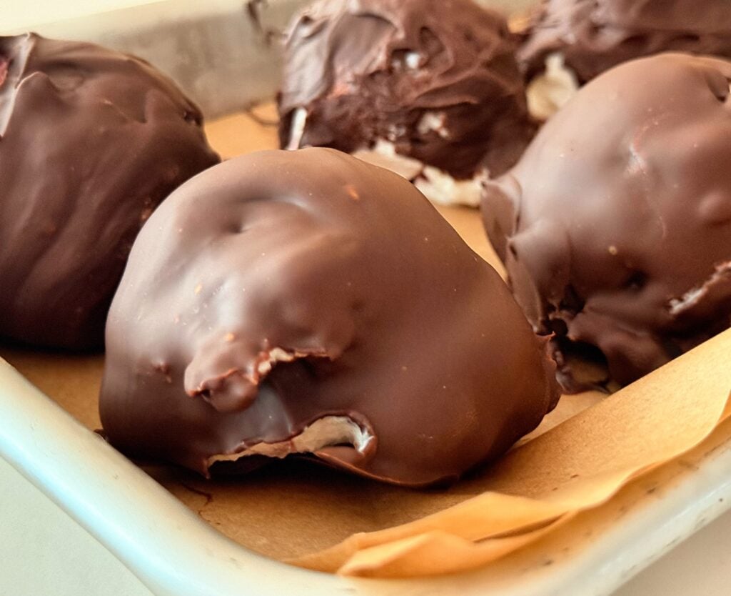 frozen yogurt bites close up