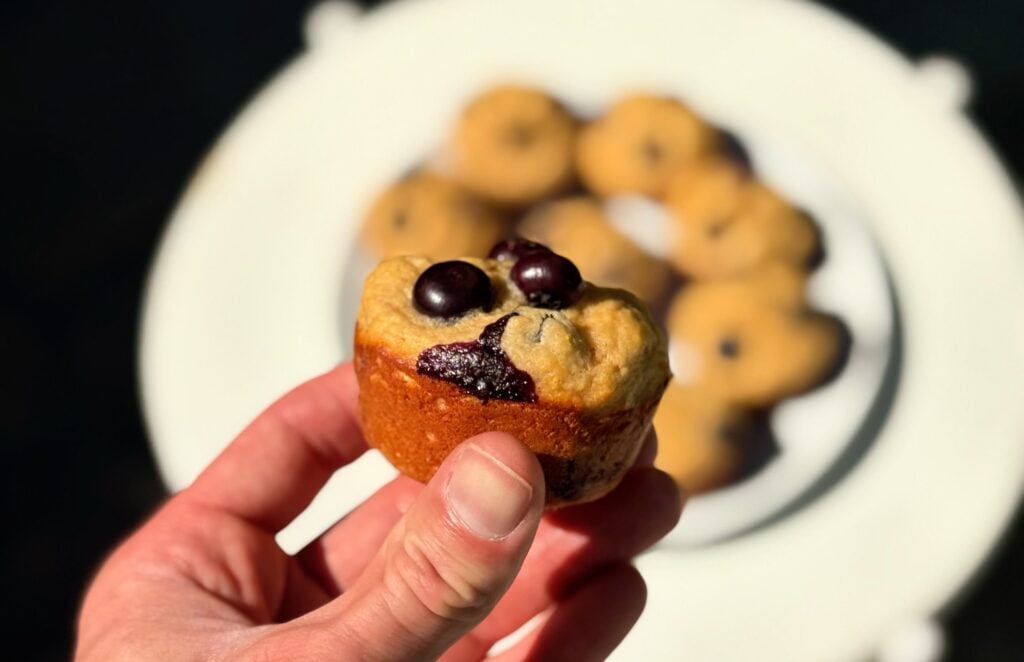 high protein blueberry muffins single