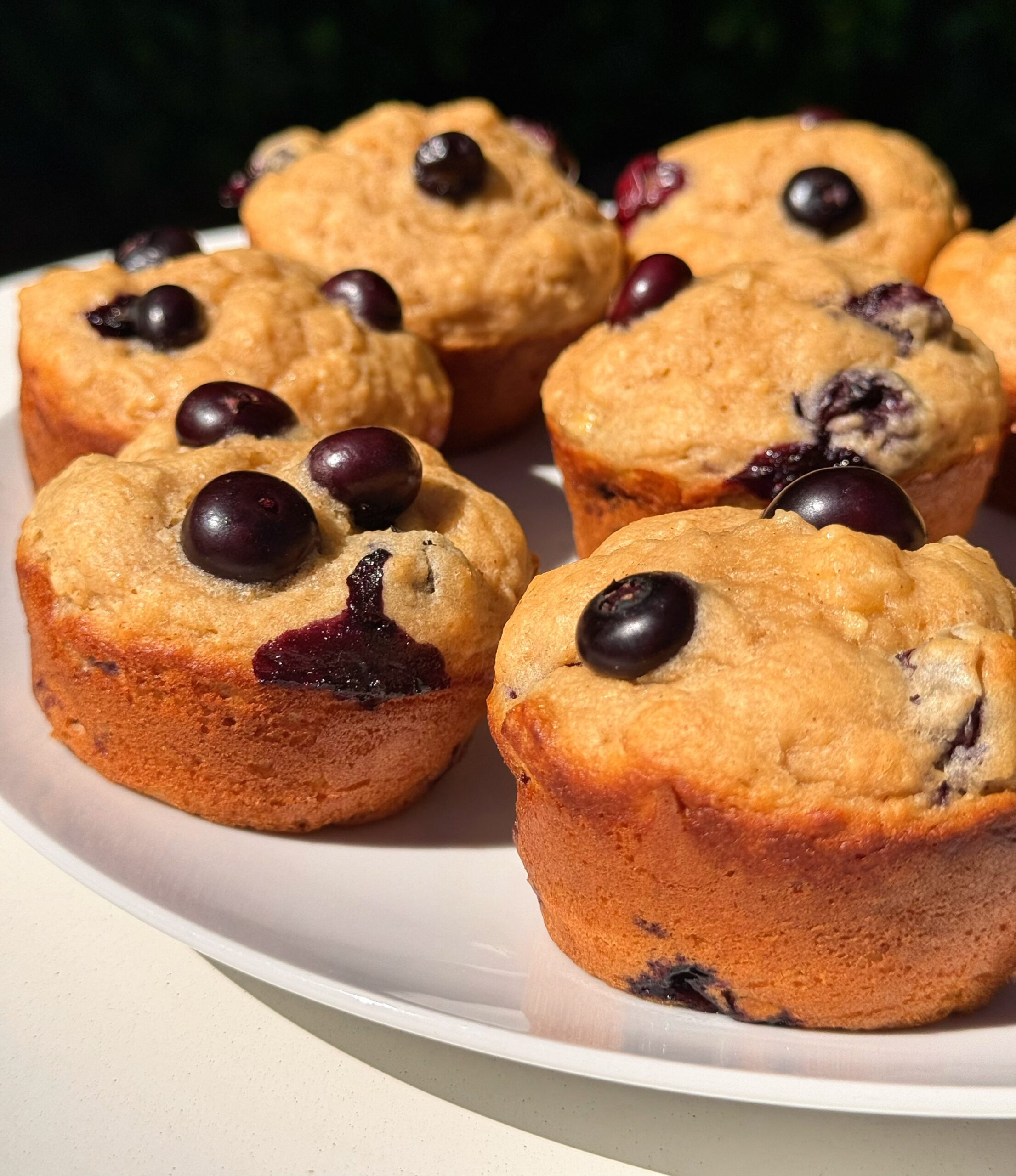 high protein blueberry muffins