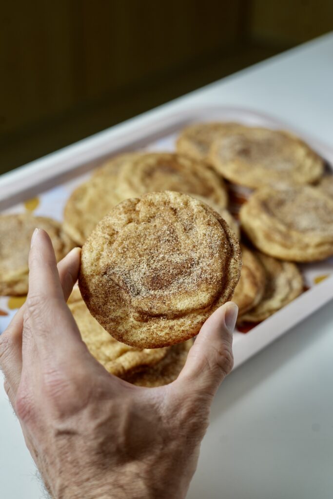 Extreme close-up showing the soft, cracked surface of a cinnamon-coated snickerdoodle cookie.