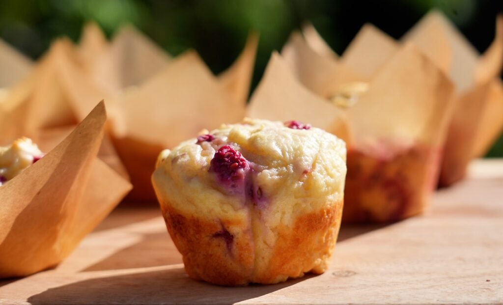 outdoors raspberry protein muffin