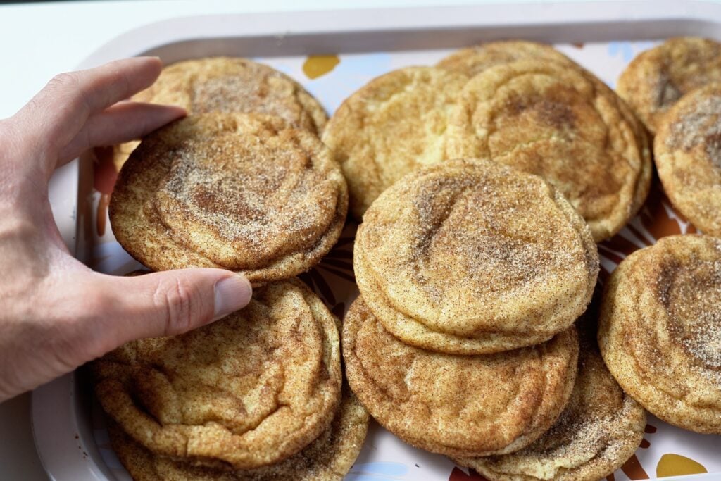 placing malted milk snickerdoodle down