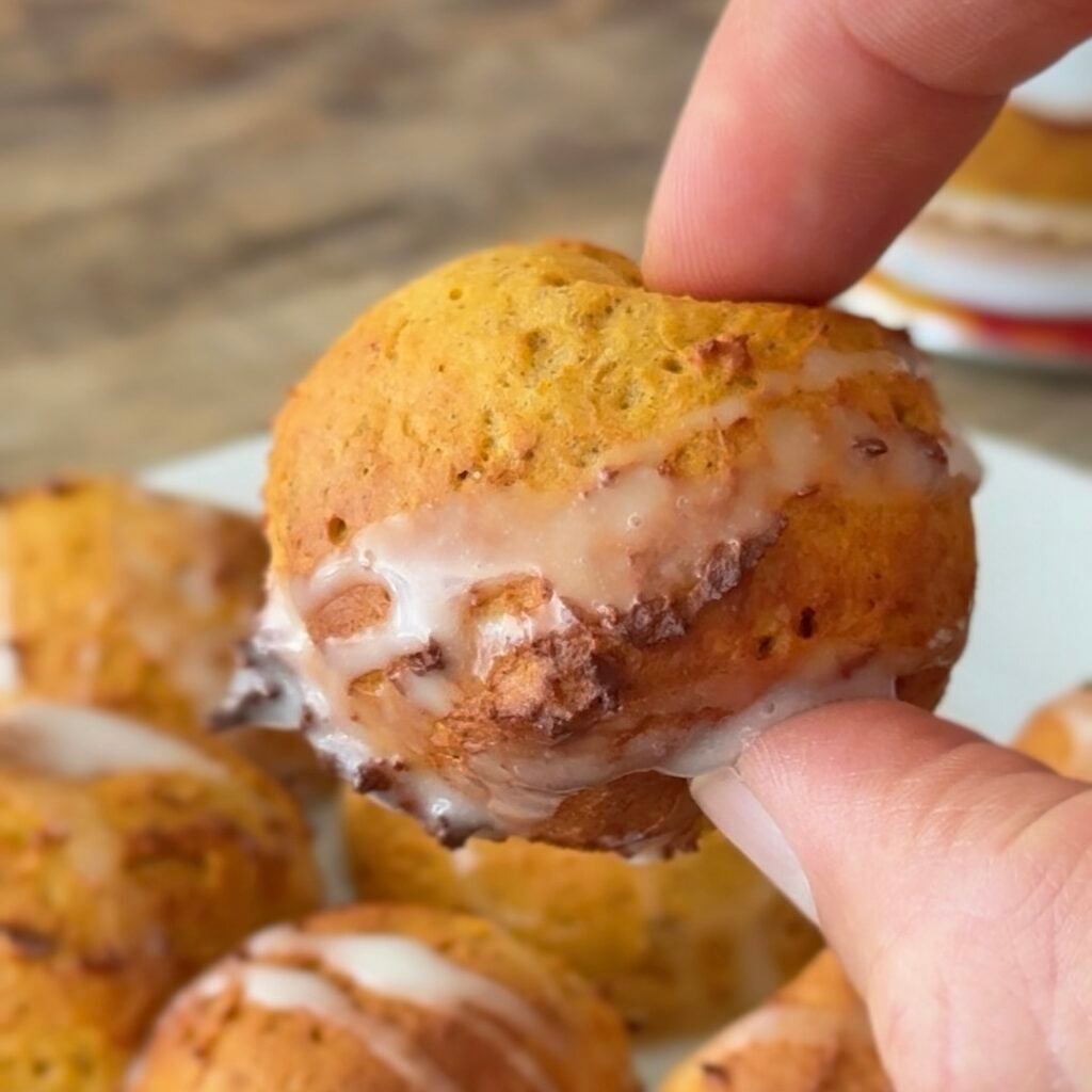 protein air fryer donut hole pumpkin
