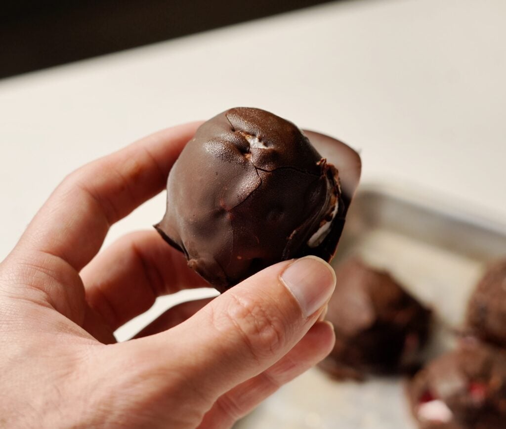 whole frozen yogurt bites in hand