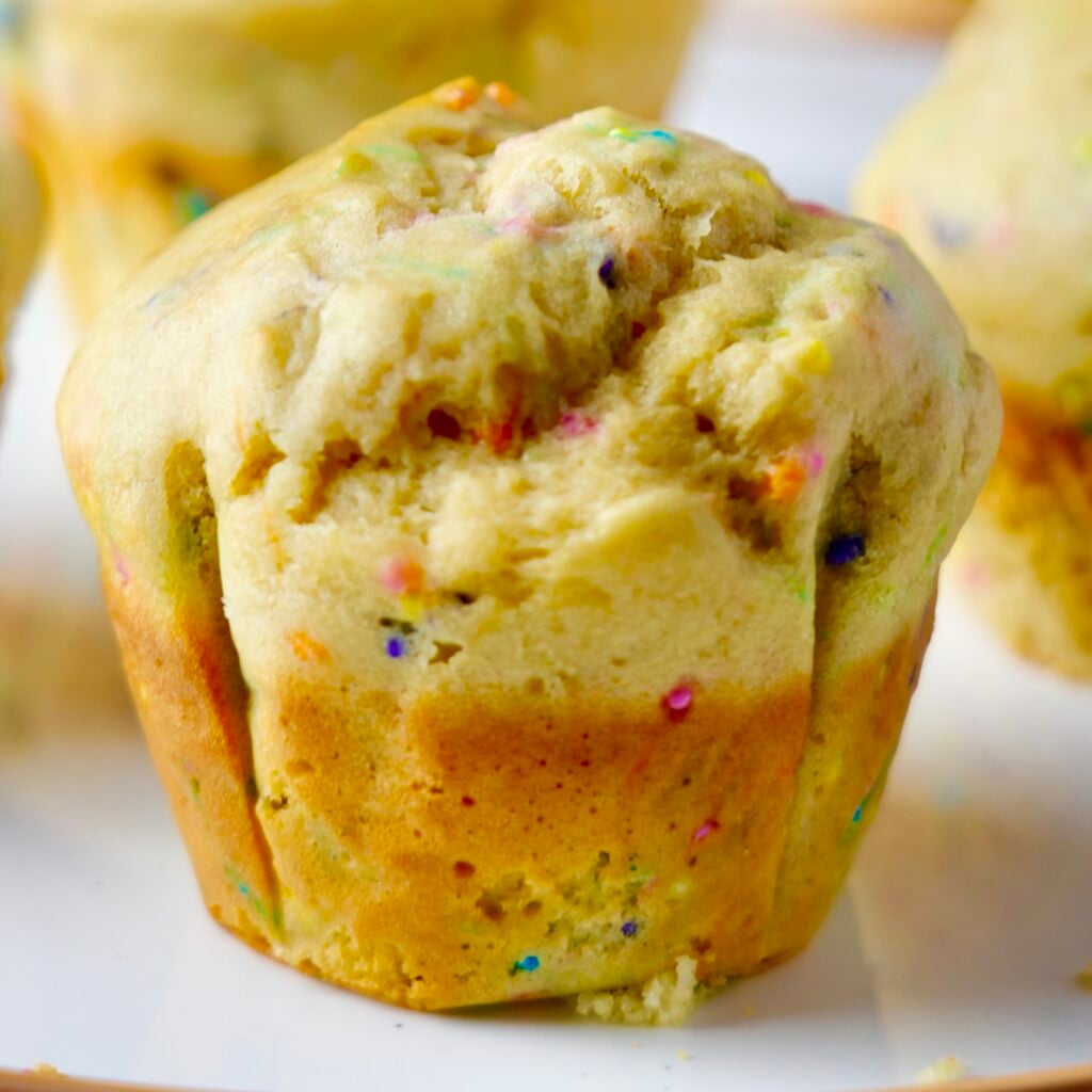 funfetti protein muffin extreme close up