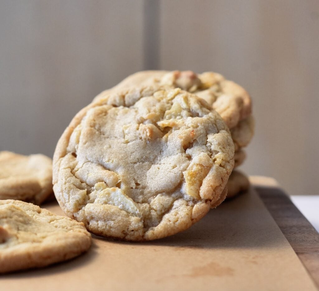 vintage potato chip cookie leaning