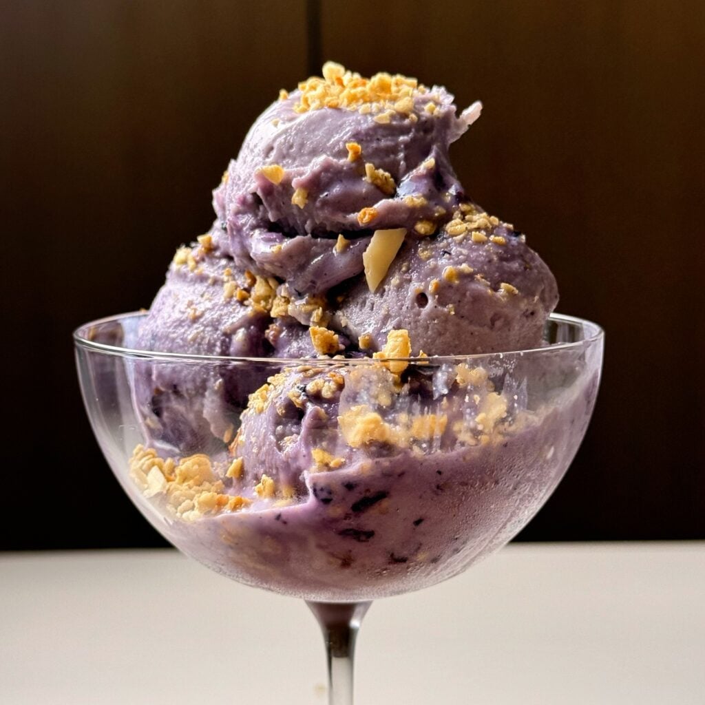close up scooped blueberry cobbler ninja creami high protein on board