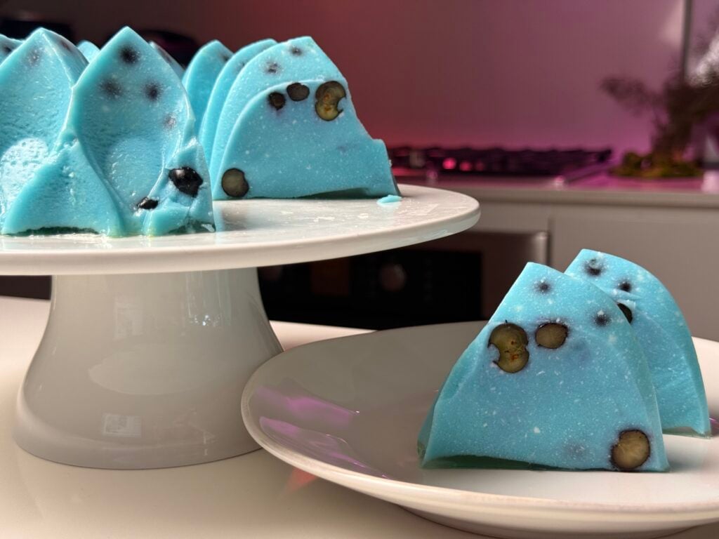 protein jello close up