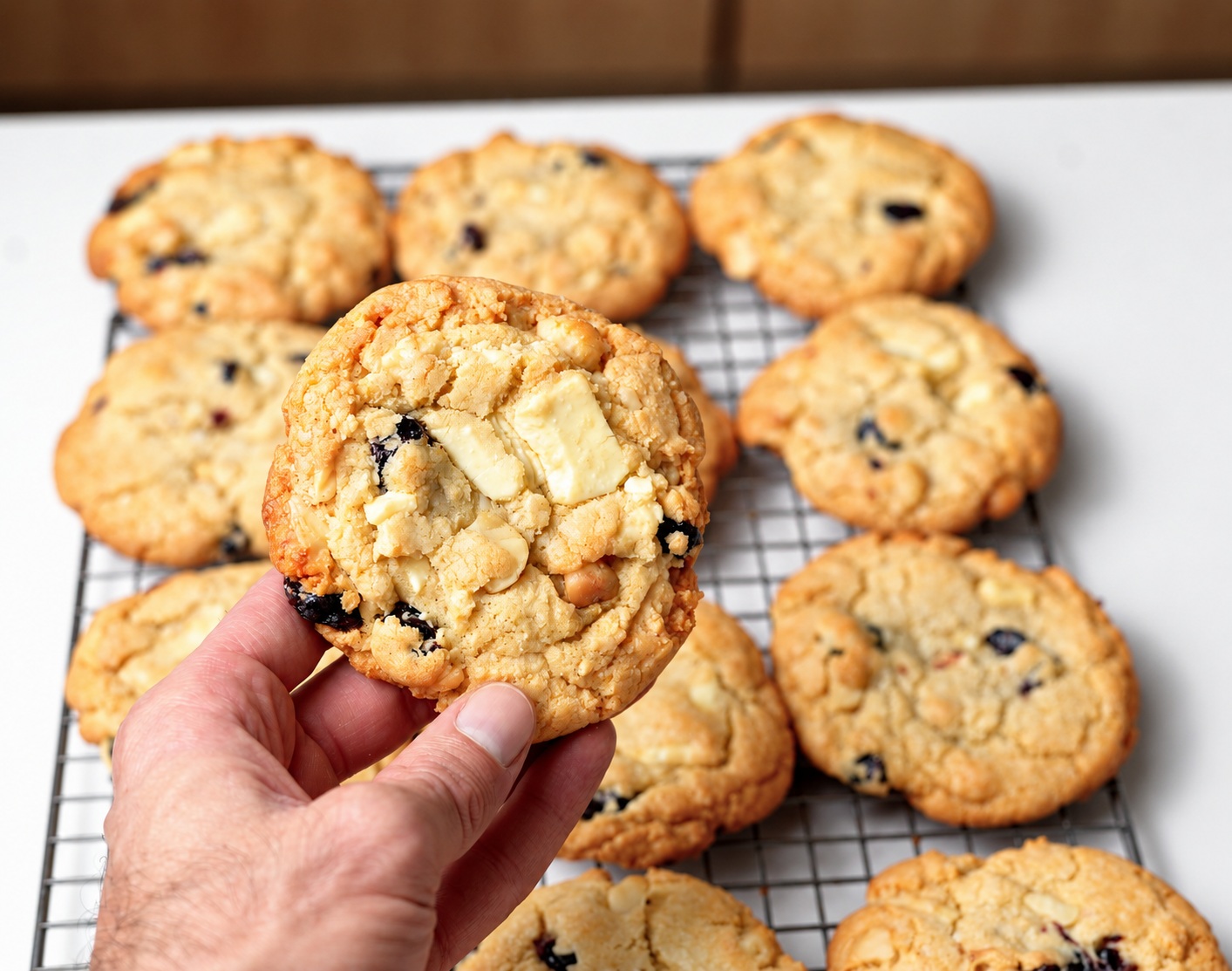 A hand holding a thick gluten-free white chocolate cherry almond cookie.
