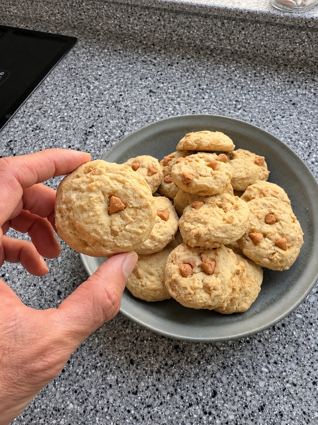 Hand holding an old-fashioned butterscotch chip cookie above a bowl of cookies
