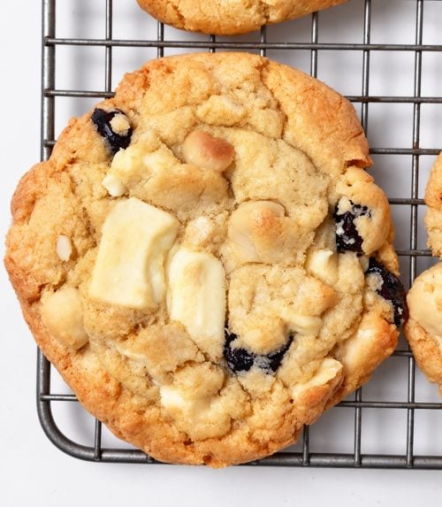 10-2829CA1B-cookie-detail---d8666f97-0ed1-4d1d-8f69-e7effe59dbcb