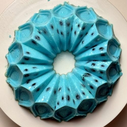 Blueberry Protein Jello