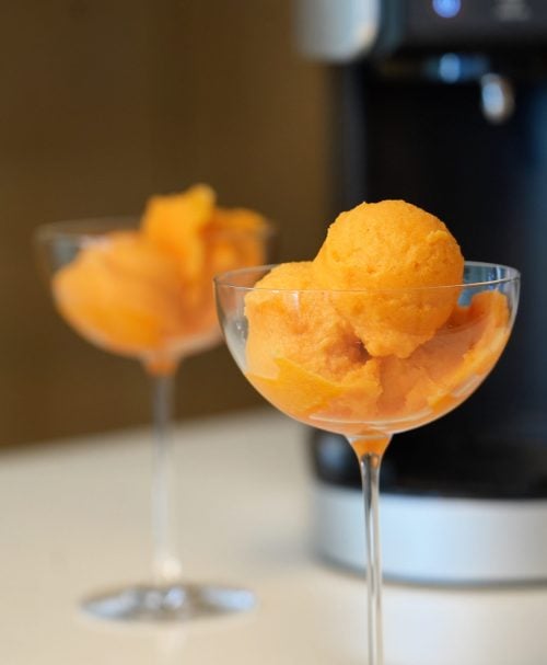 close up carrot and orange sorbet with creami machine