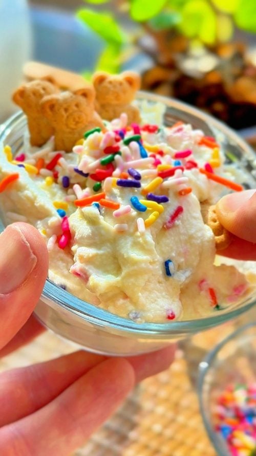 Creamy Dunkaroo Protein Dip Texture