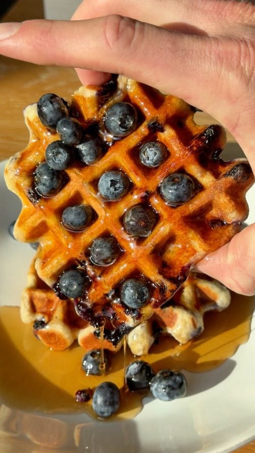 high protein blueberry waffles topped with fresh blueberries and syrup