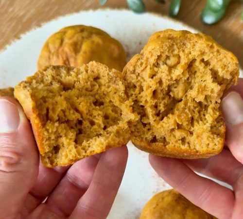 high protein pumpkin muffin