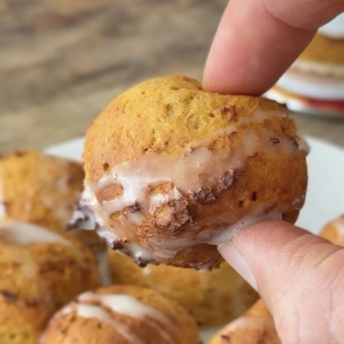 protein air fryer donut hole pumpkin