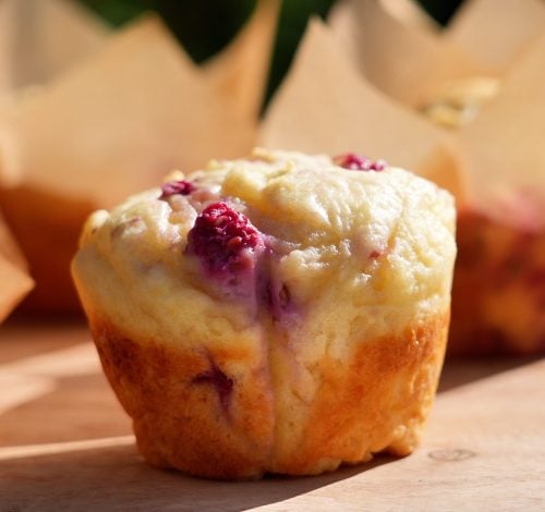 single raspberry protein muffin